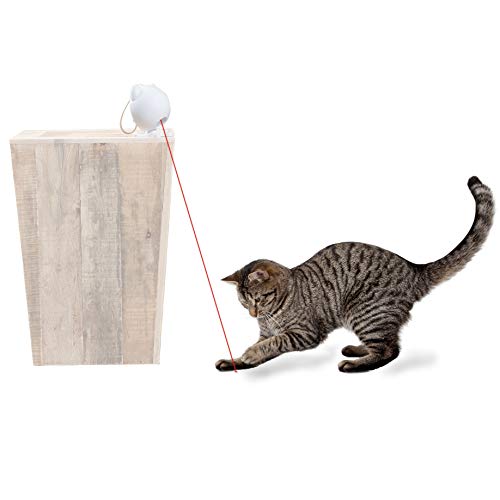 PetSafe Cat Toy - Dancing Dot Laser Cat Toy