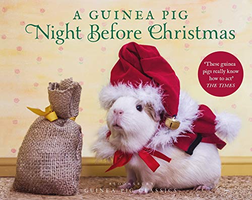 Clement Clarke Moore/A Guinea Pig Night Before Christmas