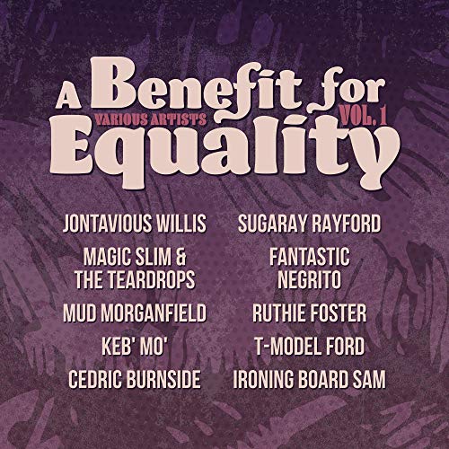 A Benefit For Equality/Vol. 1@Indie Exclusive