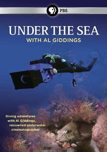 Under The Sea/Under The Sea@Ws@Nr