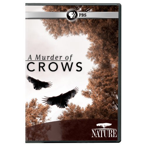 Nature/Murder Of Crows@Nr