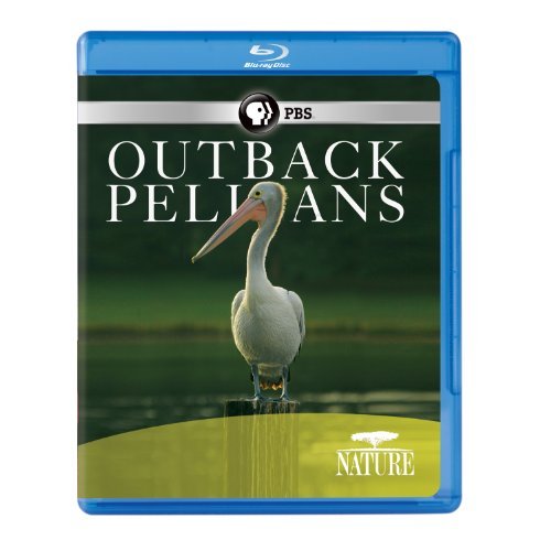 Outback Pelicans/Nature@Blu-Ray/Ws@Nr