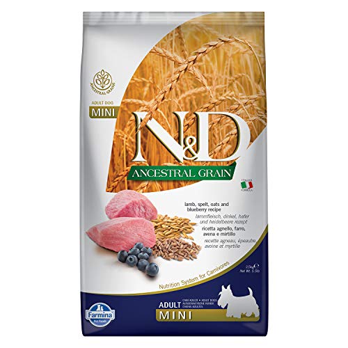 Farmina N&D Ancestral Grain Dry Dog Food - Lamb & Blueberry Mini Adult