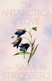 Sara Stridsberg The Antarctica Of Love 