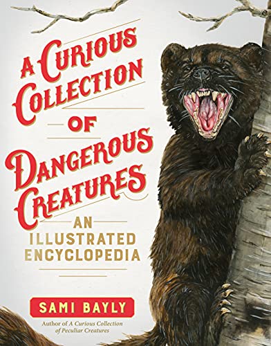 Sami Bayly A Curious Collection Of Dangerous Creatures An Illustrated Encyclopedia 