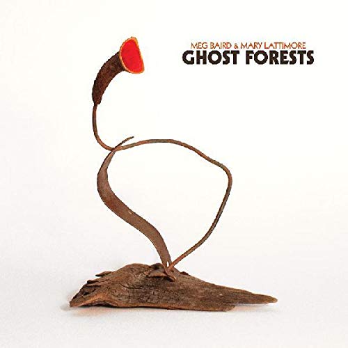 Meg Baird & Mary Lattimore/Ghost Forests (COKE BOTTLE CLEAR VINYL, INDIE EXCLUSIVE)