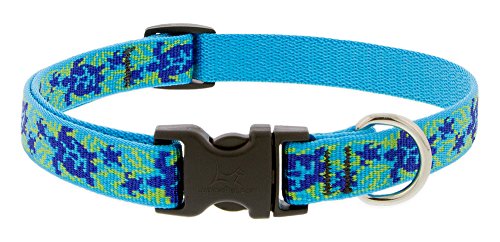 Lupine Dog Collar - Turtle Reef