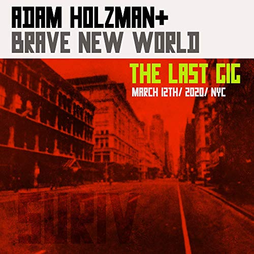 Adam Holzman/The Last Gig