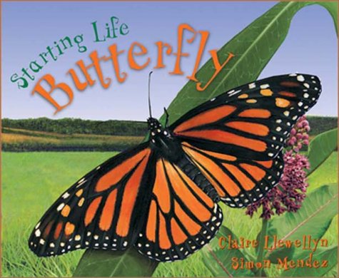 Claire Llewellyn/Starting Life: Butterflies