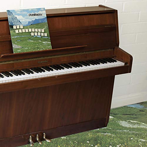 Grandaddy/The Sophtware Slump.....On  A Wooden Piano@Indie Exclusive White Vinyl