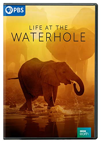 Life At The Waterhole/PBS@DVD@PG