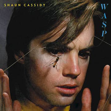 Shaun Cassidy Wasp Ltd. 1500 Rsd 2021 Exclusive 