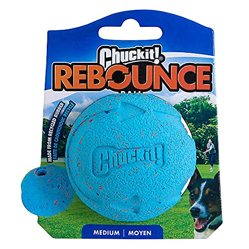 Chuckit! Dog Toy - Rebounce Ball