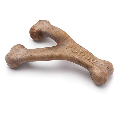 Benebone Dog Chew Toy - Puppy Wishbone - Bacon