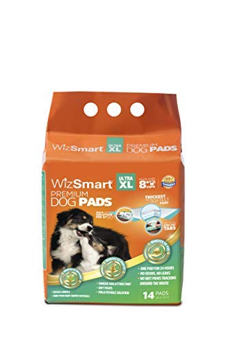 WizSmart Training Pads - All Day Dry 8 Cup Ultra XL