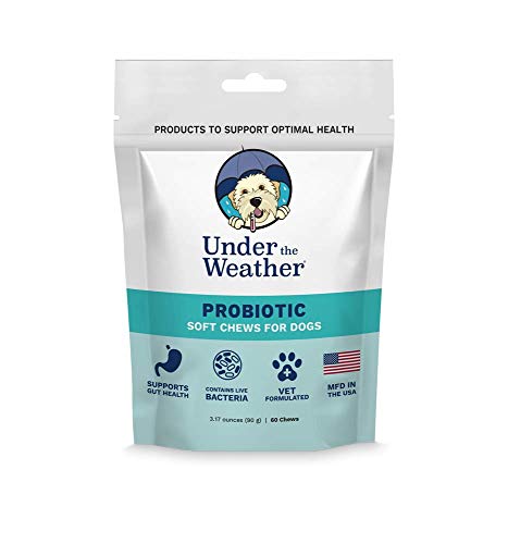 Under the Weather Dog Supplement - Probiotic Chews