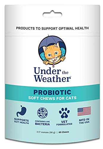 Under the Weather Cat Supplement - Probiotic Soft Chews