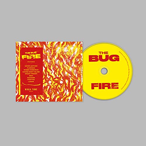 The Bug Fire 