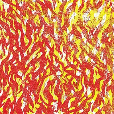The Bug Fire (red Vinyl & Yellow Vinyl Indie Exclusive) 