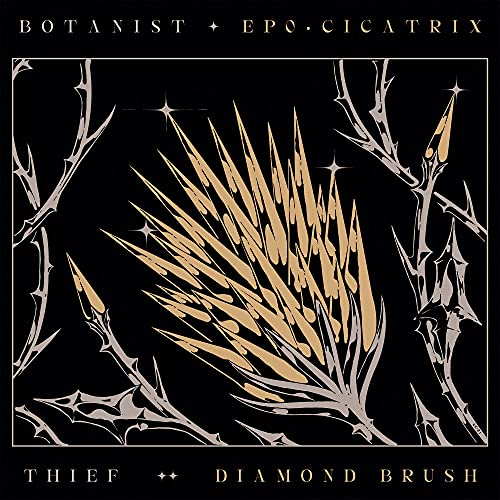 Botanist Thief Cicatrix Diamond Brush Amped Exclusive 
