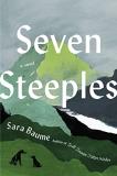 Sara Baume Seven Steeples 