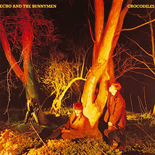 Echo & The Bunnymen/Crocodiles@Rocktober 2021