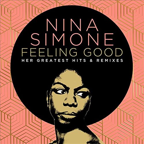 Nina Simone Feeling Good Her Greatest Hits & Remixes 2 CD 