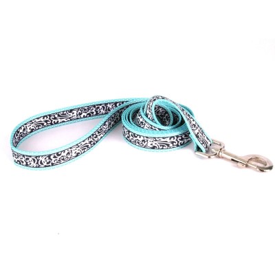 Yellow Dog - Chantilly Teal Leash