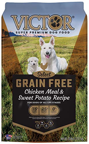 VICTOR Grain Free Chicken Meal & Sweet Potato Recipe for Dogs