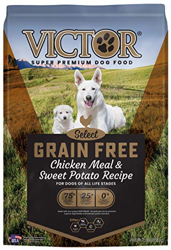 VICTOR Grain Free Chicken Meal & Sweet Potato Recipe for Dogs