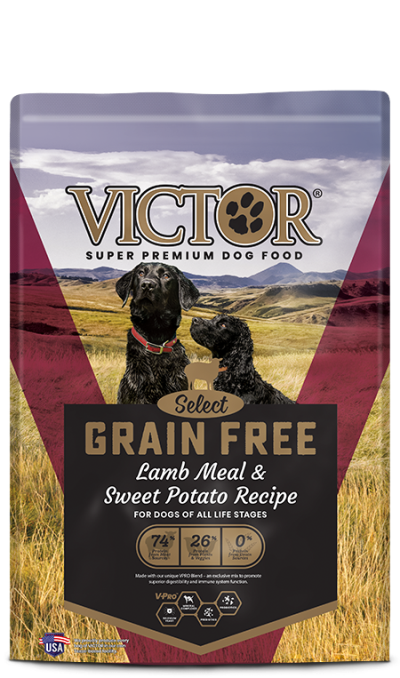 VICTOR Grain Free Lamb Meal & Sweet Potato Recipe For Dogs