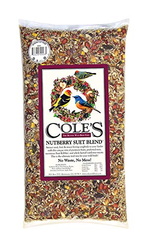 Cole's Nutberry Suet Blend Bird Seed