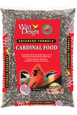 Wild Delights Cardinal Food