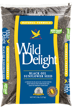 Wild Delights Black Oil Sunflower Seed