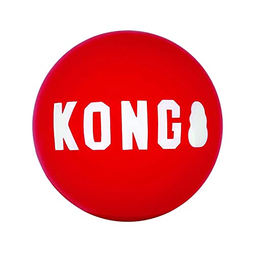 Kong® Signature Ball Dog Toy Large, Bulk