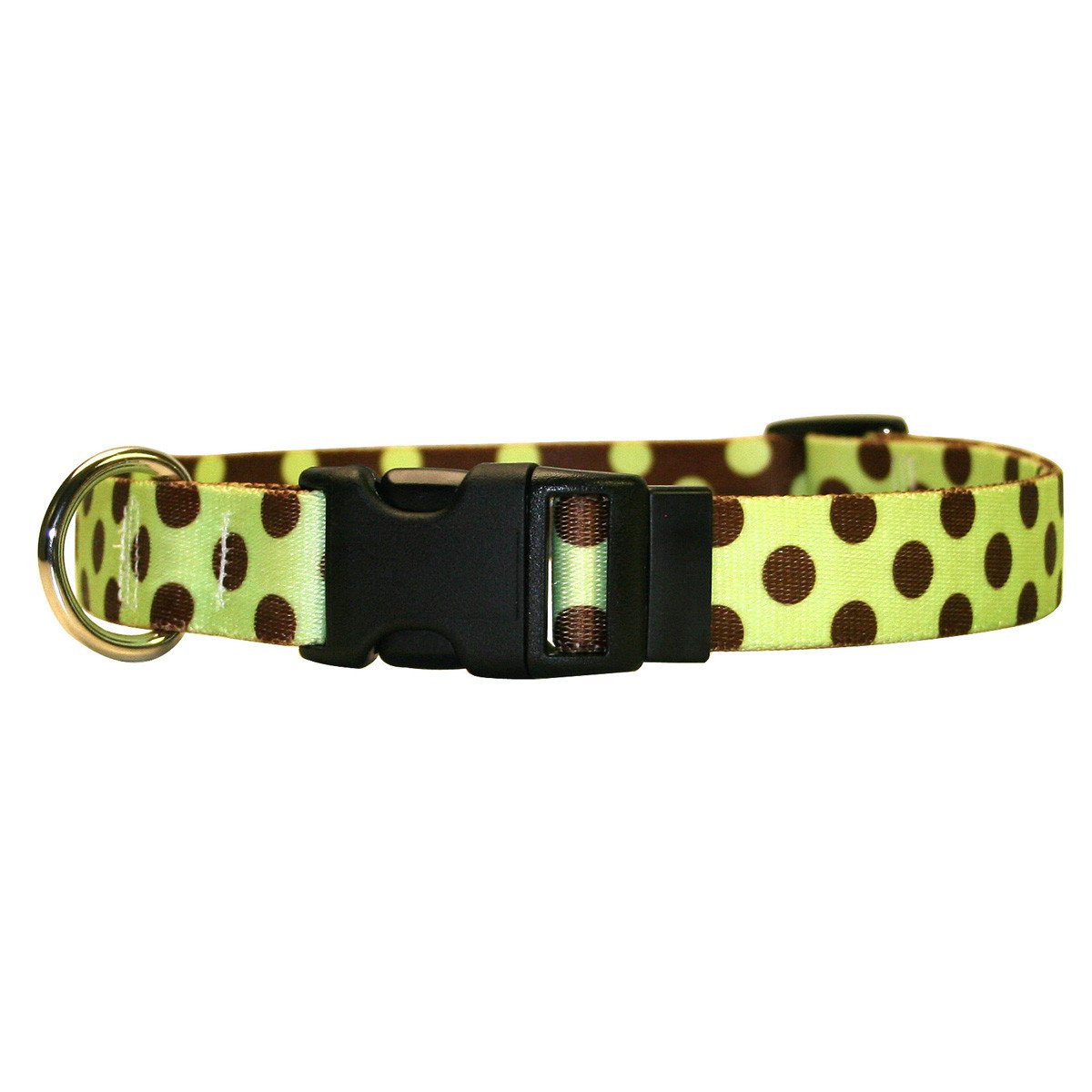 Yellow Dog - Green & Brown Polka Dot Collar