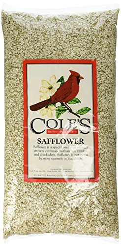 Cole's Safflower Bird Seed