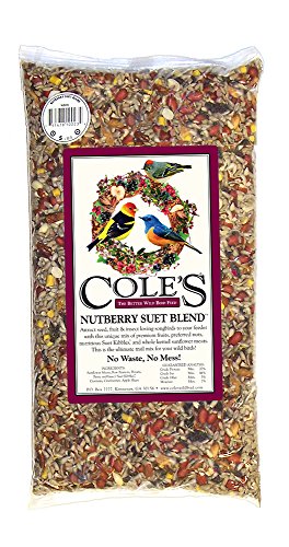 Cole's Nutberry Suet Blend Bird Seed