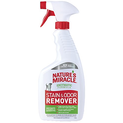 Nature's Miracle Enzymatic Stain & Odor Remover