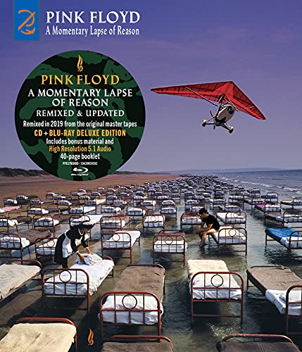 Pink Floyd/Momentary Lapse Of Reason