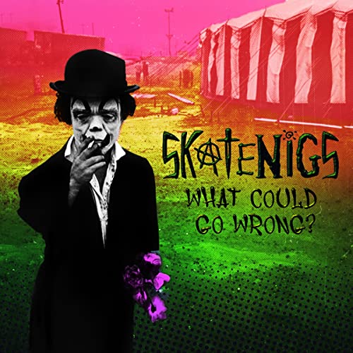 Skatenigs What Could Go Wrong? CD 
