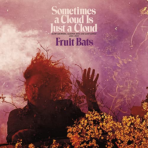 Fruit Bats/Sometimes a Cloud Is Just a Cloud: Slow Growers, Sleeper Hits and Lost Songs (2001–2021)@Pink-In-Violent Color Vinyl