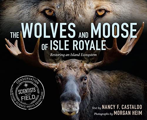 Nancy F. Castaldo/The Wolves and Moose of Isle Royale@ Restoring an Island Ecosystem