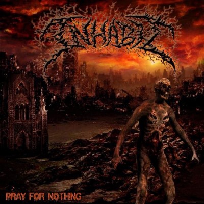 Inhabit/Pray For Nothing