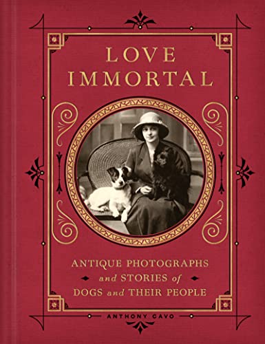 Anthony Cavo Love Immortal Antique Photographs And Stories Of Dogs And Their 