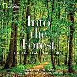 Susan Tyler Hitchcock Into The Forest The Secret Language Of Trees 