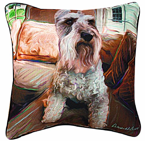 Pillow, Schnauzer on Couch