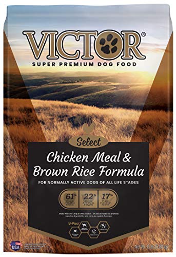 Victor Dog Food - Chicken Meal & Rice