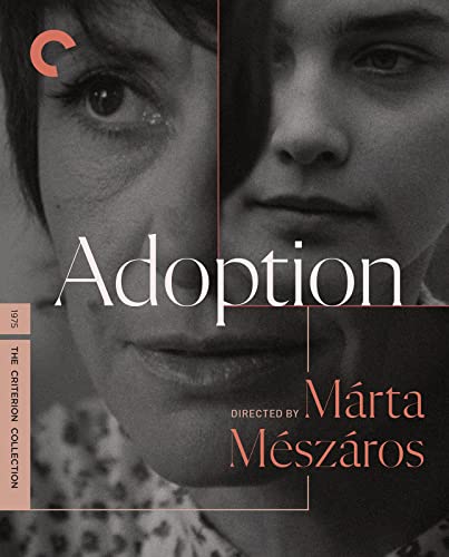 Adoption/Adoption@BR/1975/B&W/Hungarian W/Eng-Sub