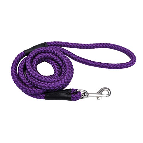 Coastal Rope Dog Leash-Purple